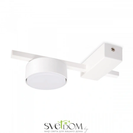 Потолочные светильники Freya FR5363CL-01W от Магазина Svetdom.by