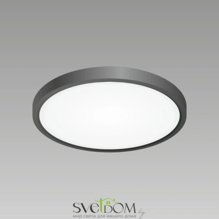 Citilux Бейсик CL738241V Светильник накладной Чёрный CITILUX