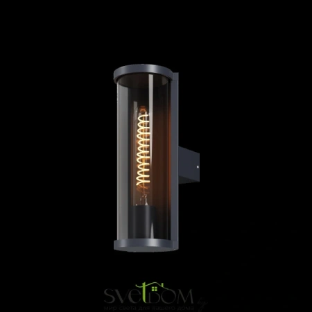 Настенный светильник (бра) Outdoor O451WL-01GF Maytoni