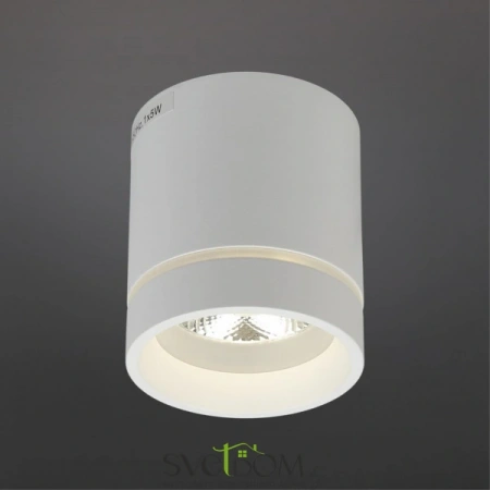 Накладные светильники Aployt APL.0044.09.05 от Магазина Svetdom.by