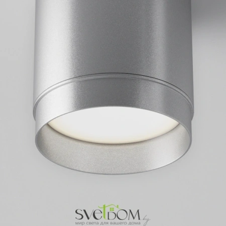 Потолочный светильник Technical C088CL-GX53-S Maytoni