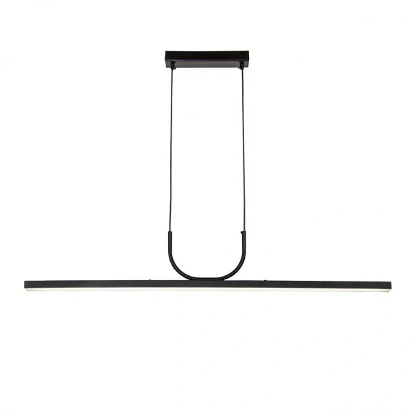 Люстры подвесные4096-2P Favourite | Svetdom.by