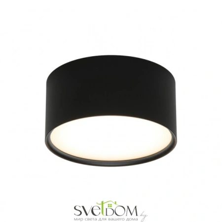 Накладные светильники Omnilux OML-103319-12 от Магазина Svetdom.by