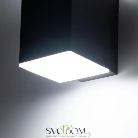 Citilux CLU0002 LED Уличный настенный светильник Графит CITILUX