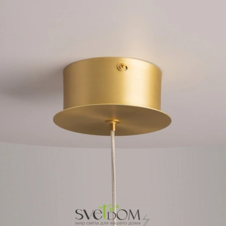 Подвесные светильники Maytoni MOD282PL-L8G3K от Магазина Svetdom.by