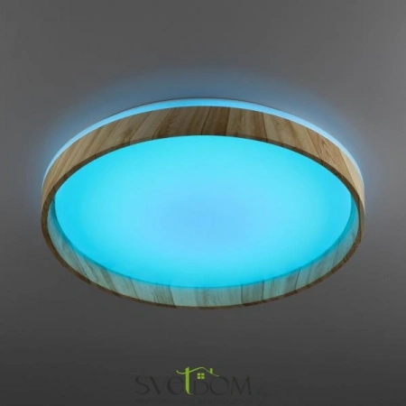 Потолочные светильники CITILUX CL753452G от Магазина Svetdom.by