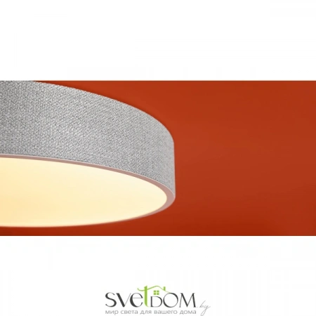 Потолочные светильники Freya FR5555CL-L30BGG от Магазина Svetdom.by