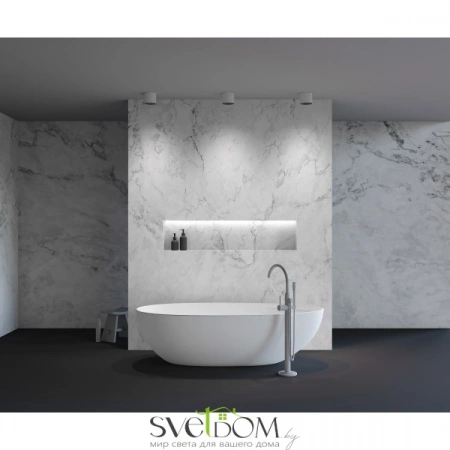 Потолочные светильники Maytoni C064CL-01-25W4K-RD-WB от Магазина Svetdom.by