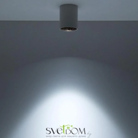 Накладные светильники CITILUX CL7440103 от Магазина Svetdom.by