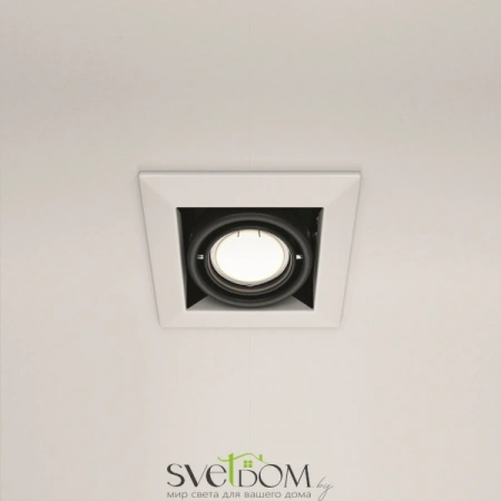 Встраиваемые светильники Maytoni DL008-2-01-W от Магазина Svetdom.by