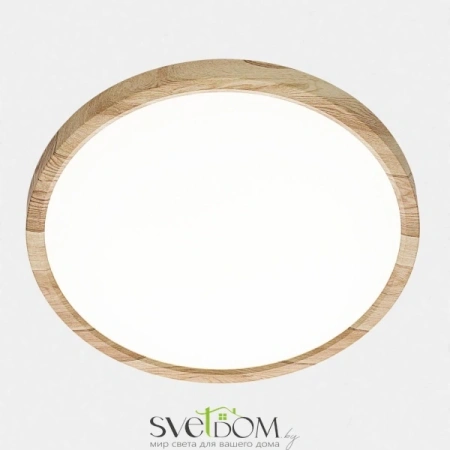 Citilux Бейсик CL738242V LED Светильник накладной Клён CITILUX