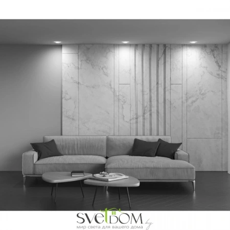 Встраиваемые светильники Maytoni DL303-L12W от Магазина Svetdom.by