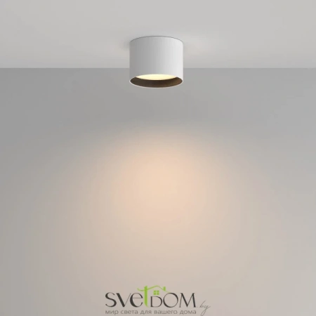 Потолочные светильники Maytoni C127CL-L7W3K-W от Магазина Svetdom.by