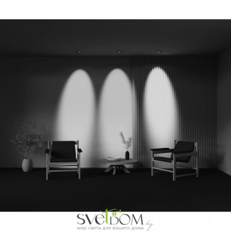Фото Встраиваемые светильники Maytoni DL105-12W4K-B Встраиваемые светильники Maytoni DL105-12W4K-B от Магазина Svetdom.by