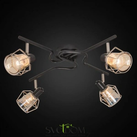 Люстры потолочныеCL542541 CITILUX | Svetdom.by