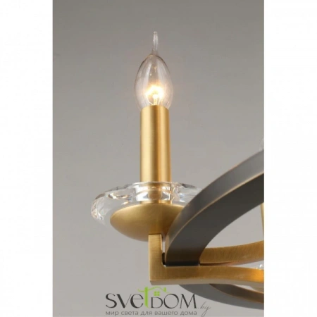 Люстры подвесныеAPL.805.03.06 Aployt | Svetdom.by