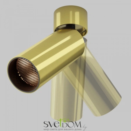 Потолочные светильники Maytoni C055CL-L12W2.7K-W-BS от Магазина Svetdom.by