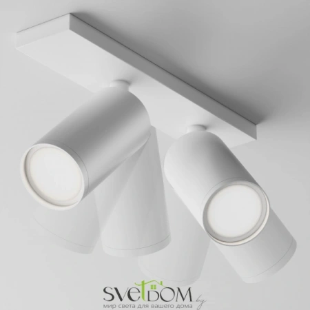 Потолочные светильники Maytoni C051CL-U-2W от Магазина Svetdom.by