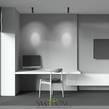 Потолочные светильники Maytoni C055CL-L12B3K-W-B от Магазина Svetdom.by