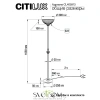 Citilux Адриана CL405913 Торшер Бронза CITILUX