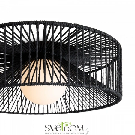 Потолочные светильники Freya FR5405CL-01B от Магазина Svetdom.by