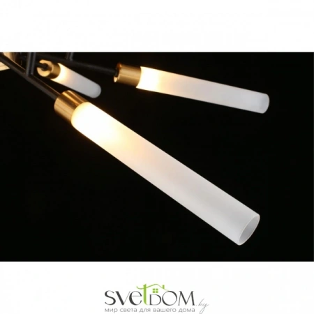 Люстры потолочныеAPL.604.07.12 Aployt | Svetdom.by