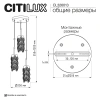Подвесной светильник Citilux RONIN CL326013 CITILUX