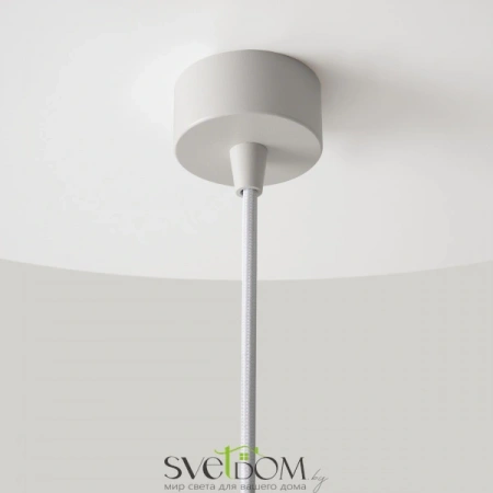 Подвесные светильники Maytoni P064PL-01W-1 от Магазина Svetdom.by