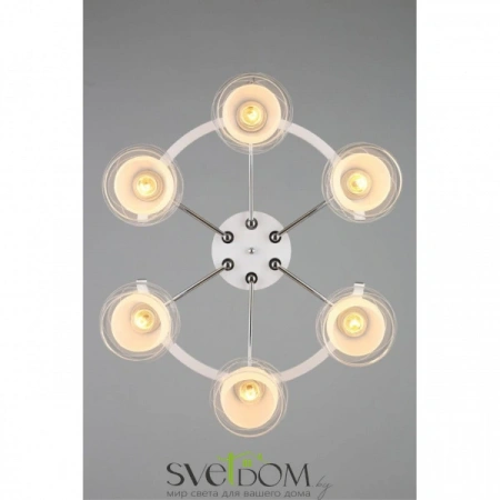 Люстры потолочныеOML-28313-06 Omnilux | Svetdom.by