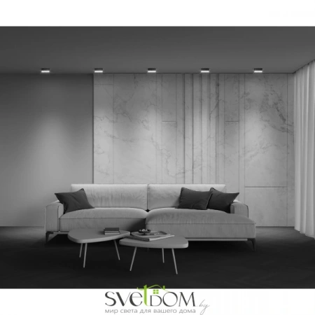 Потолочные светильники Maytoni C066CL-12W3-6K-B от Магазина Svetdom.by