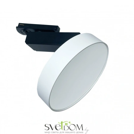 TR043-1-12W4K-W Maytoni