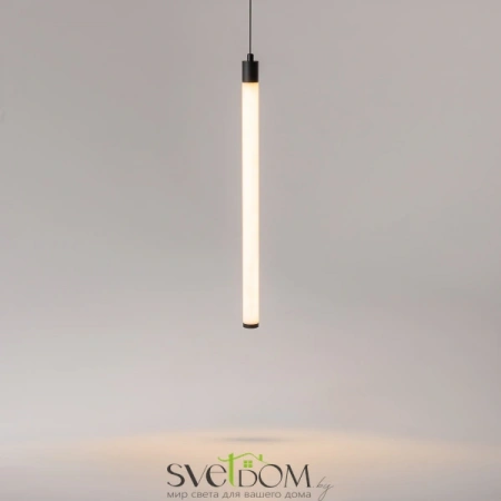 Подвесные светильники Maytoni P022PL-L10B от Магазина Svetdom.by