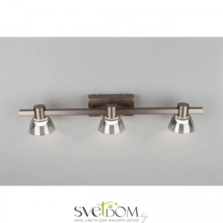 Настенные светильники APL.788.01.03 Aployt | Svetdom.by