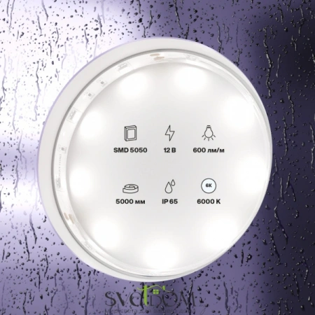 Светодиодная лента 12В 5050 7,2Вт/м  6000K 5м IP65 10125