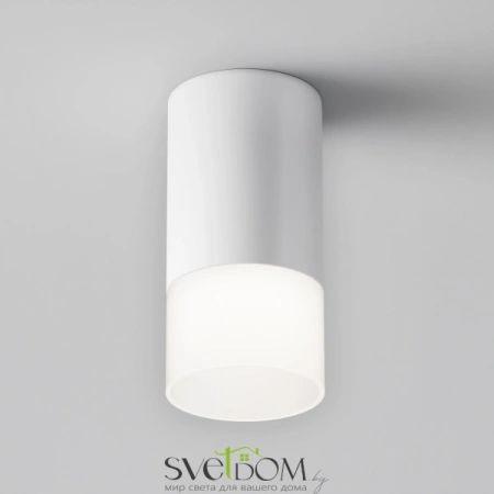 Фото Потолочные светильники Maytoni C007CW-01W Потолочные светильники Maytoni C007CW-01W от Магазина Svetdom.by