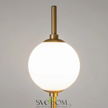 Z020FL-L12BS3K Maytoni