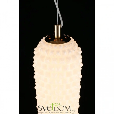 Подвесные светильники Aployt APL.332.06.22 от Магазина Svetdom.by