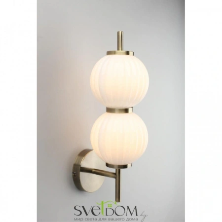 Настенные светильники APL.608.01.02 Aployt | Svetdom.by