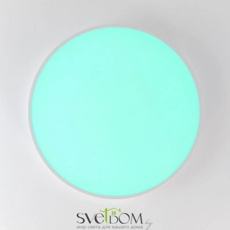 Потолочные светильники CITILUX CL724105G0 от Магазина Svetdom.by