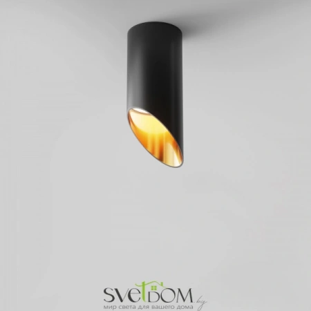 Потолочные светильники Maytoni C044CL-01-15GU10-B от Магазина Svetdom.by