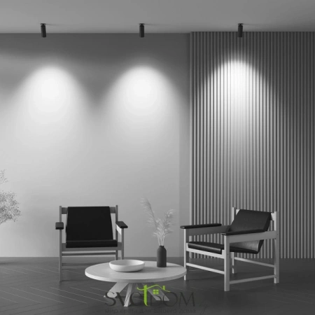 Потолочные светильники Maytoni C053CL-L12W3K-W-B от Магазина Svetdom.by