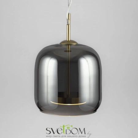 Подвесные светильники Maytoni MOD128PL-L6SG от Магазина Svetdom.by