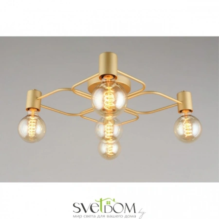 Люстры потолочныеAPL.911.07.05 Aployt | Svetdom.by