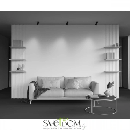 Встраиваемые светильники Maytoni C081CL-01-GU10-B от Магазина Svetdom.by