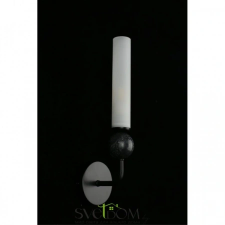 Настенные светильники APL.339.01.01 Aployt | Svetdom.by