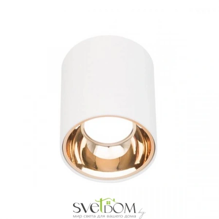 Накладные светильники CITILUX CL7440103 от Магазина Svetdom.by