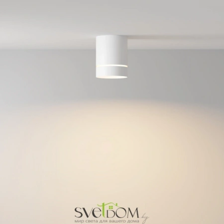 Потолочные светильники Maytoni C085CL-9W3K-W от Магазина Svetdom.by