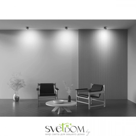 Встраиваемые светильники Maytoni DL024-18W4K-BMG от Магазина Svetdom.by