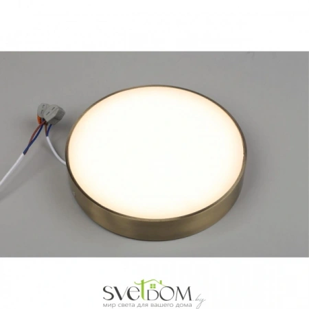 Настенно-потолочные светильники Aployt APL.0113.29.24 от Магазина Svetdom.by