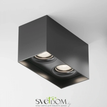 Потолочные светильники Maytoni C015CL-02B от Магазина Svetdom.by